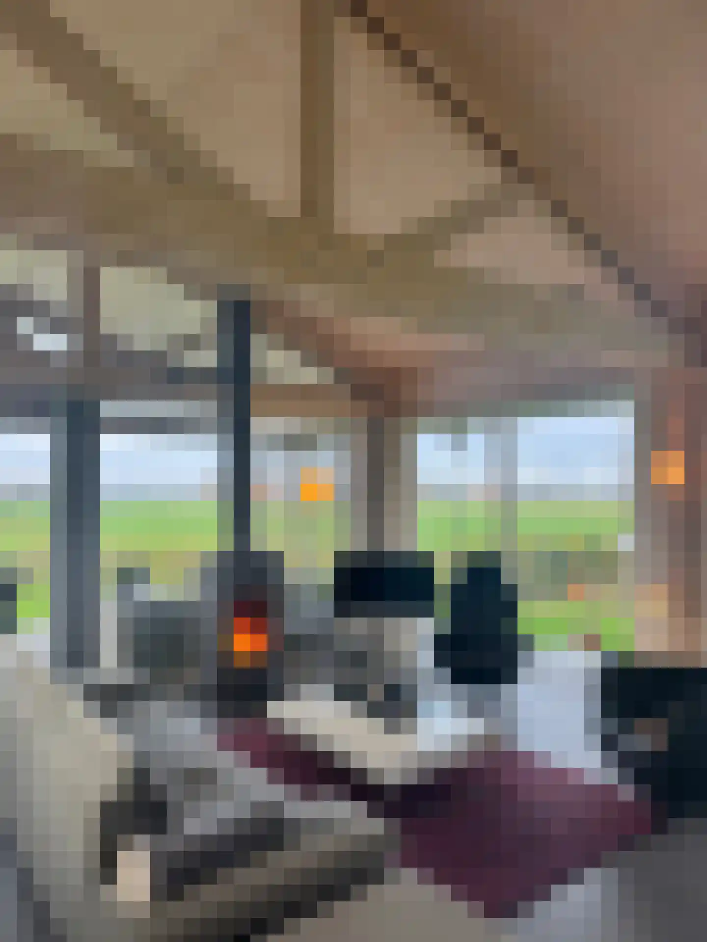 Zomerdijk 90 Noordeinde Gld thumbnail 18