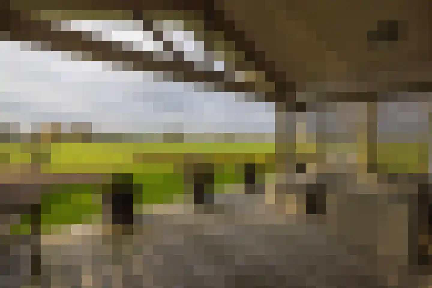 Zomerdijk 90 Noordeinde Gld thumbnail 20