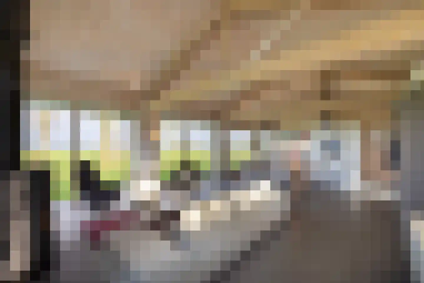 Zomerdijk 90 Noordeinde Gld thumbnail 22