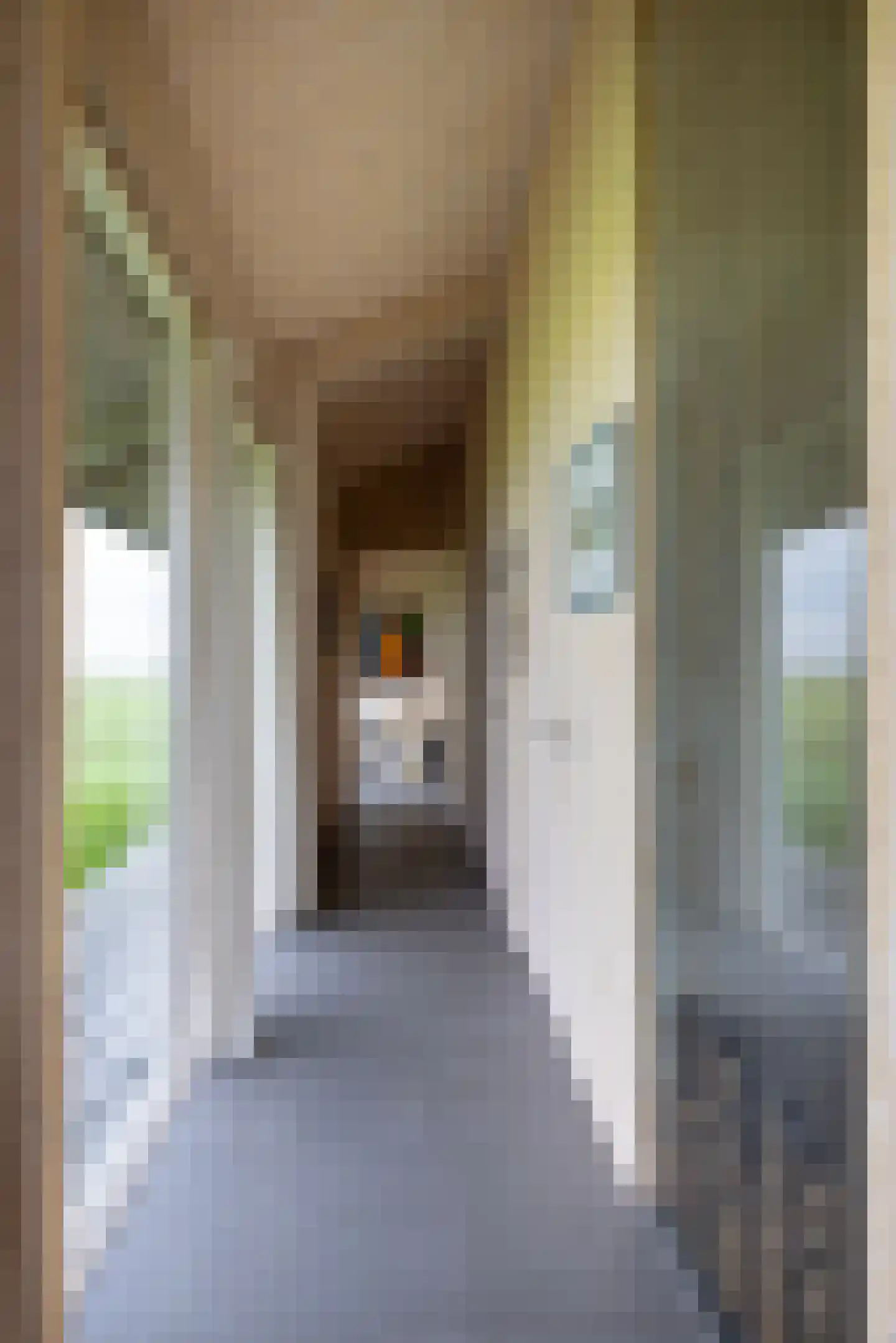 Zomerdijk 90 Noordeinde Gld thumbnail 23
