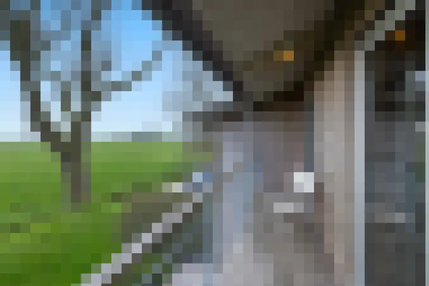 Zomerdijk 90 Noordeinde Gld thumbnail 26