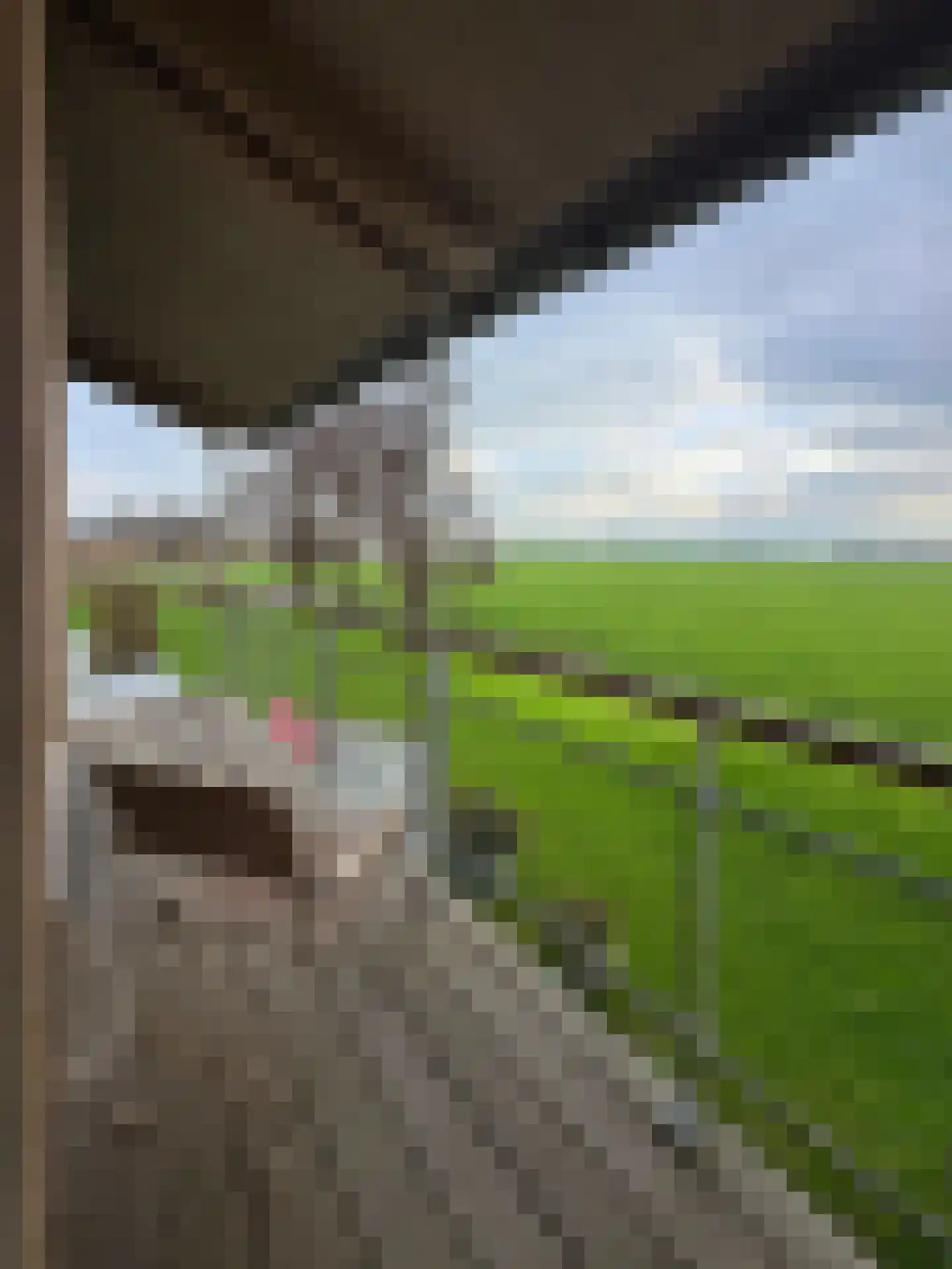 Zomerdijk 90 Noordeinde Gld thumbnail 27