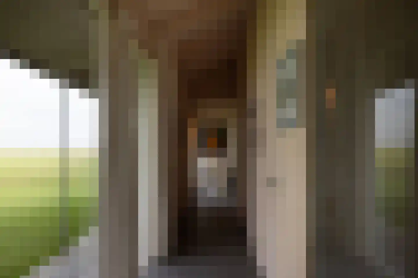 Zomerdijk 90 Noordeinde Gld thumbnail 30
