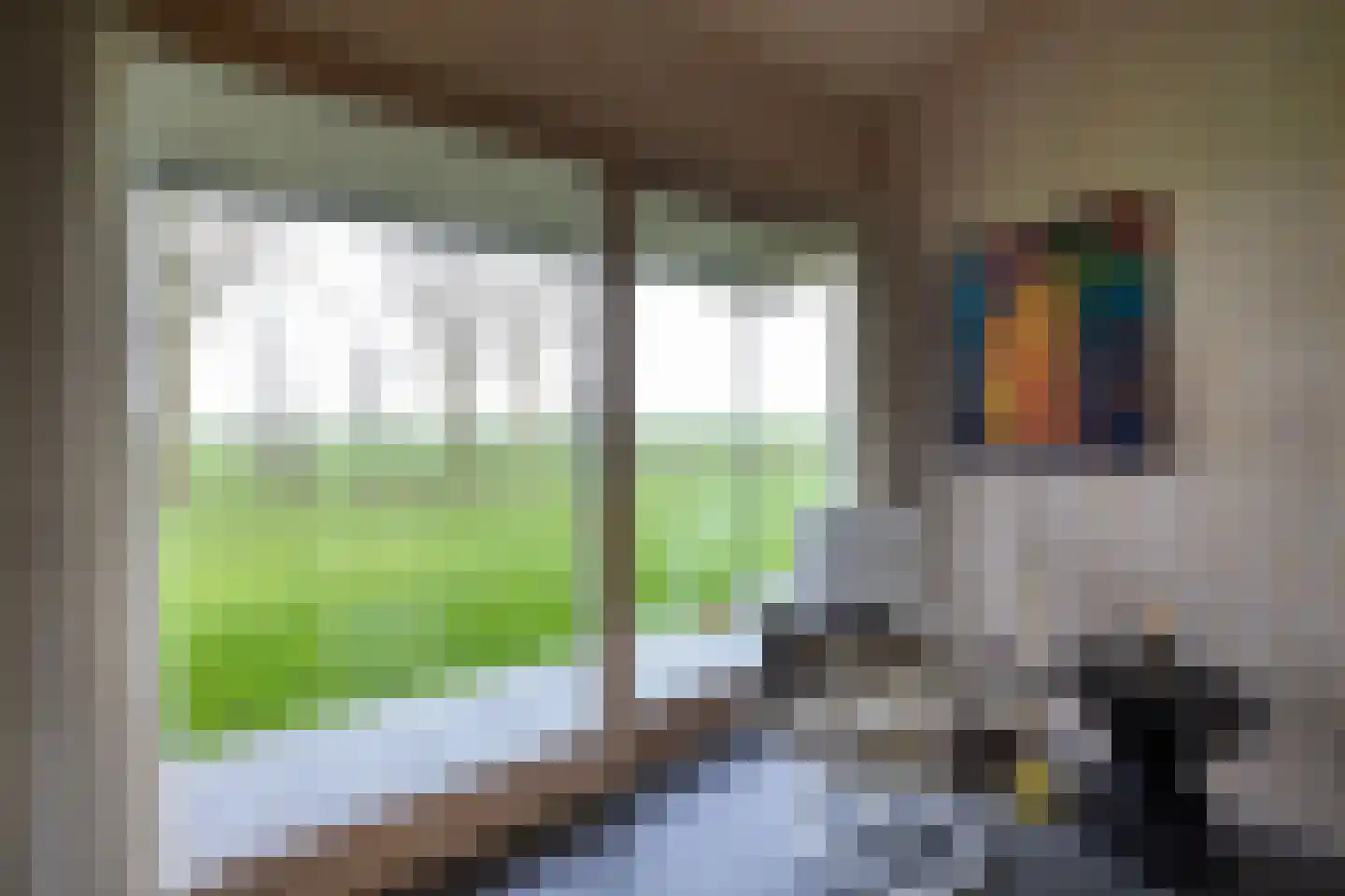 Zomerdijk 90 Noordeinde Gld thumbnail 34