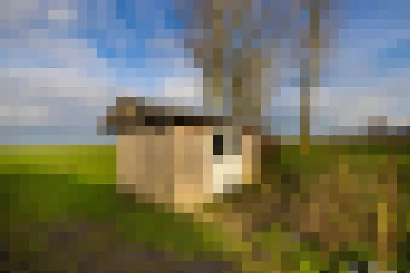 Zomerdijk 90 Noordeinde Gld thumbnail 50