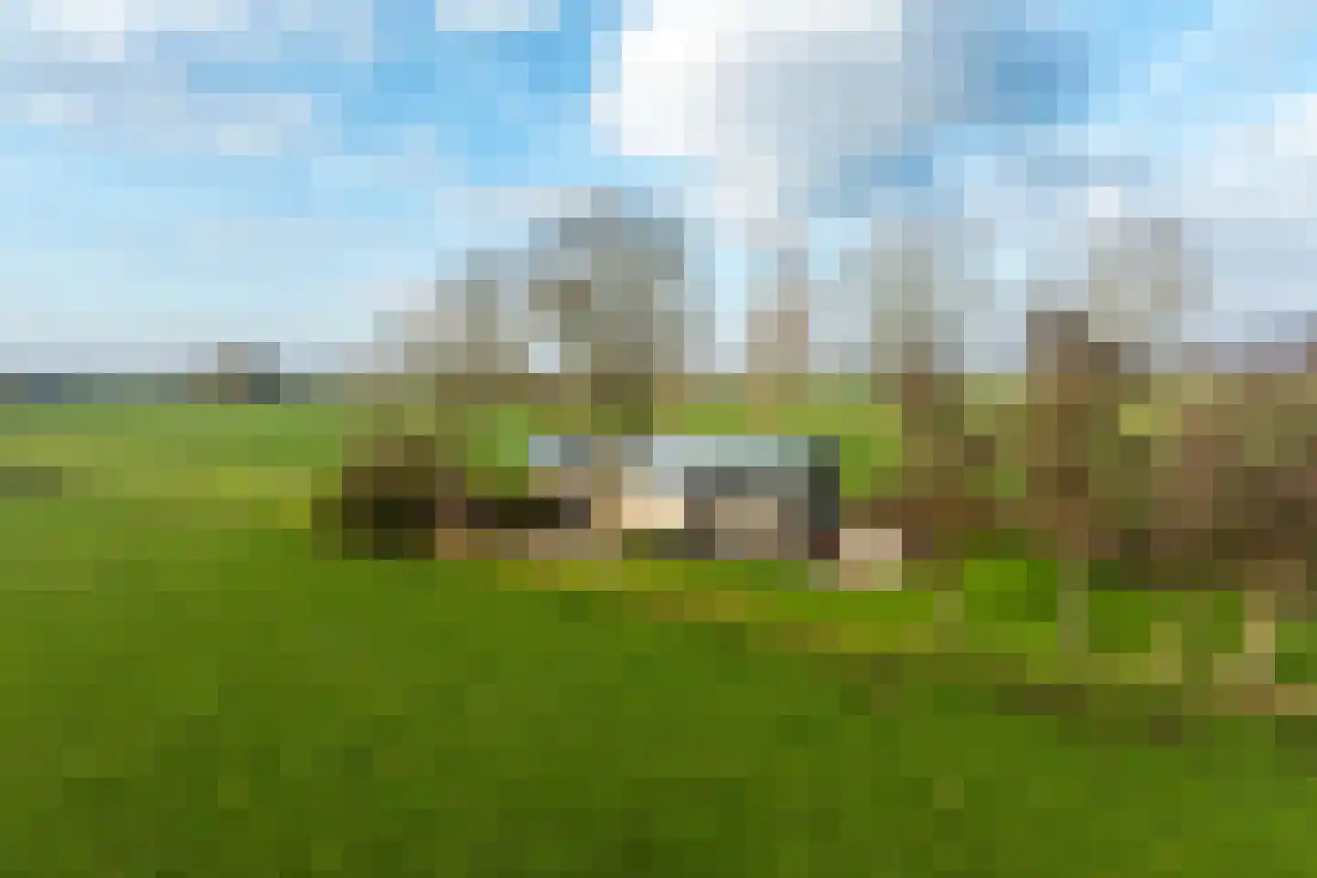 Zomerdijk 90 Noordeinde Gld thumbnail 52
