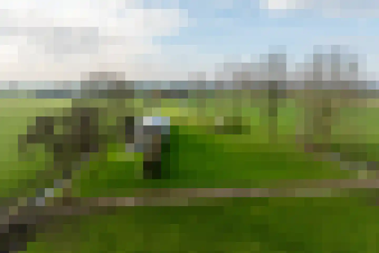 Zomerdijk 90 Noordeinde Gld thumbnail 53