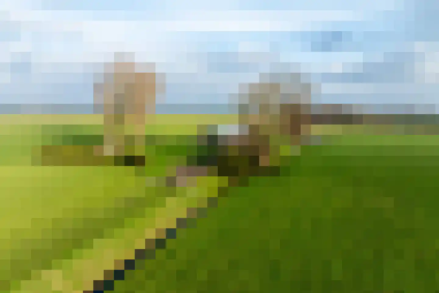 Zomerdijk 90 Noordeinde Gld thumbnail 54