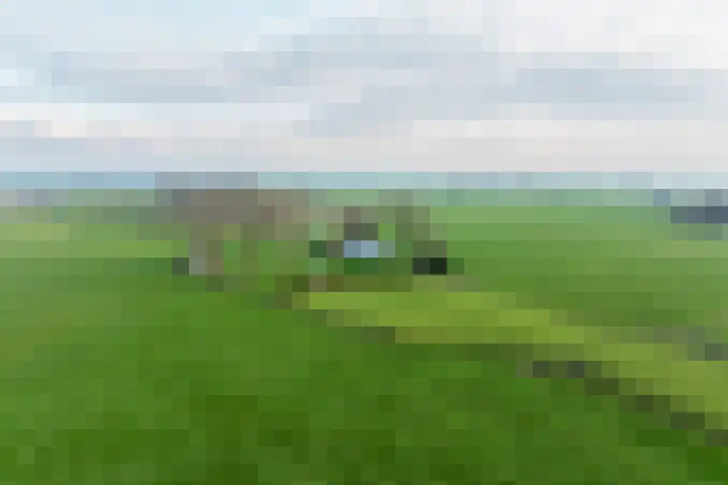 Zomerdijk 90 Noordeinde Gld thumbnail 55