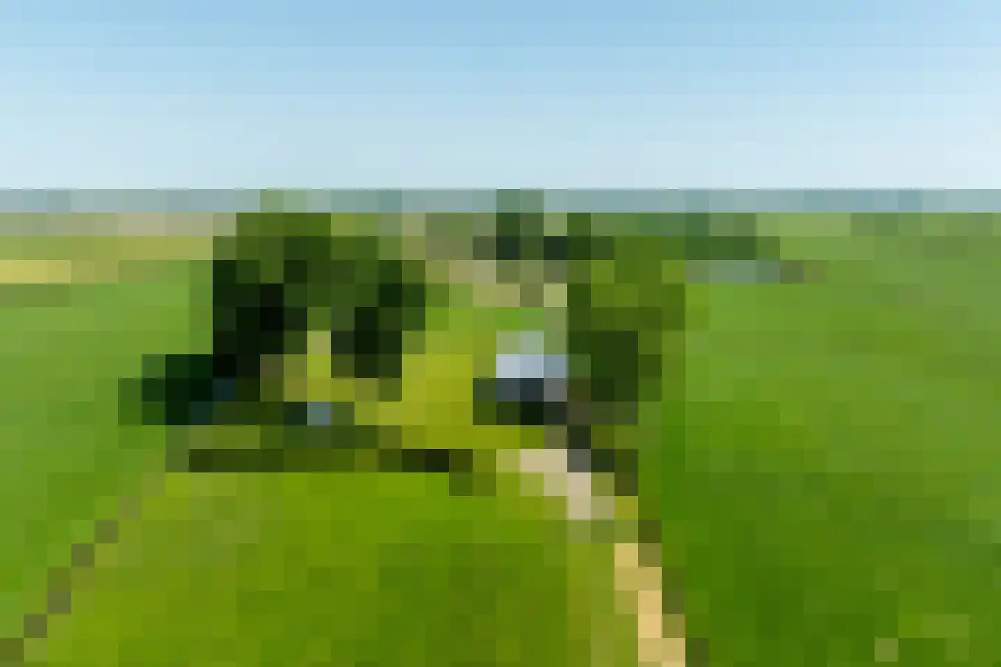 Zomerdijk 90 Noordeinde Gld thumbnail 57