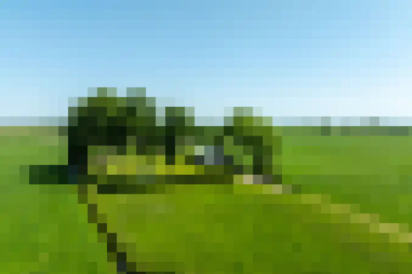 Zomerdijk 90 Noordeinde Gld thumbnail 58