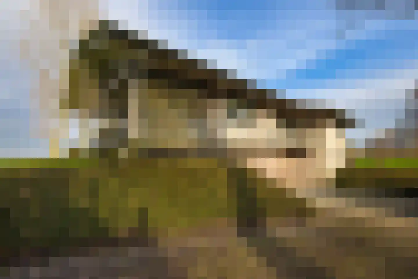 Zomerdijk 90 Noordeinde Gld thumbnail 7