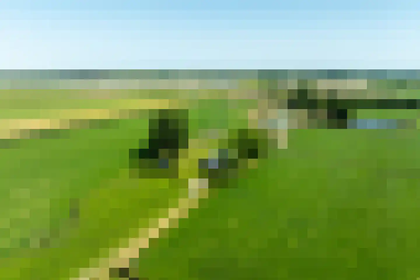 Zomerdijk 90 Noordeinde Gld thumbnail 7