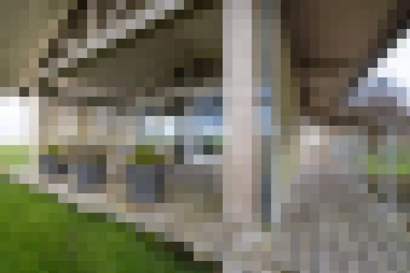 Zomerdijk 90 Noordeinde Gld thumbnail 8