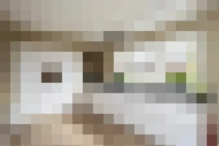 Zomerdijkstraat 1 Zwolle thumbnail 11