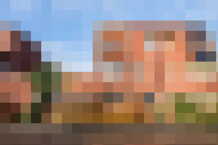 Zomerdijkstraat 1 Zwolle thumbnail 39
