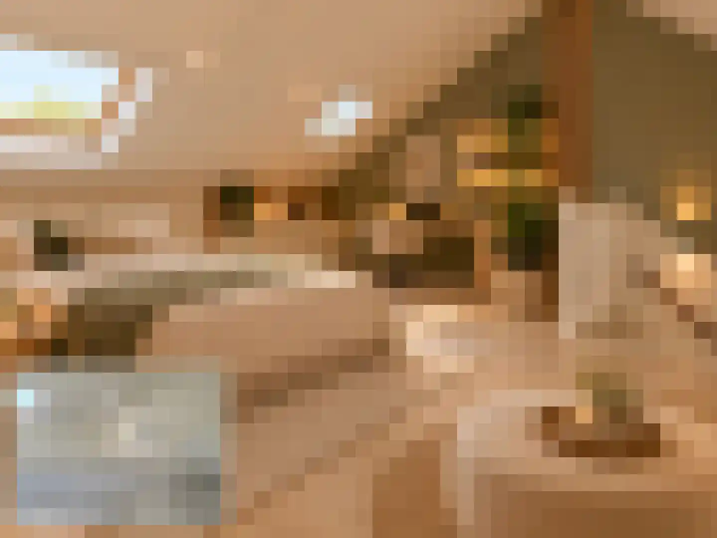 Zomerdijkstraat 10 Zwolle thumbnail 27