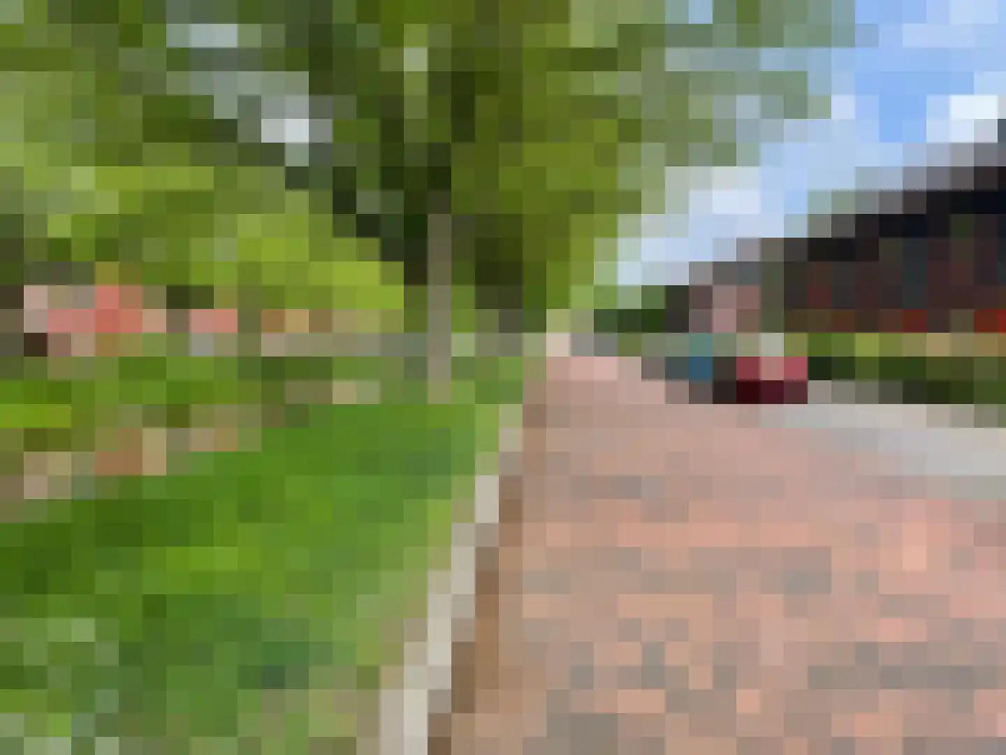 Zomerdijkstraat 14 Zwolle thumbnail 5
