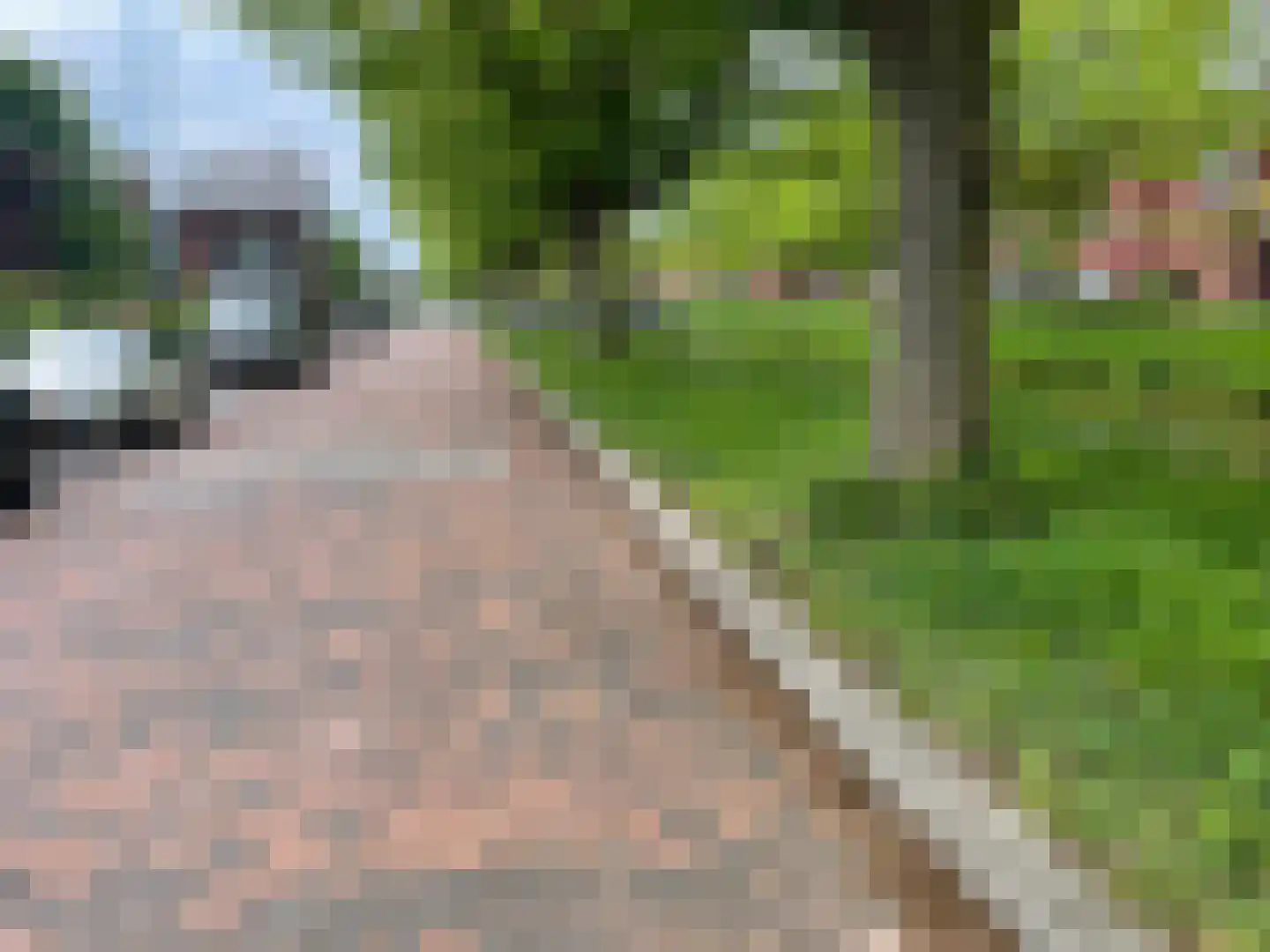 Zomerdijkstraat 14 Zwolle thumbnail 8