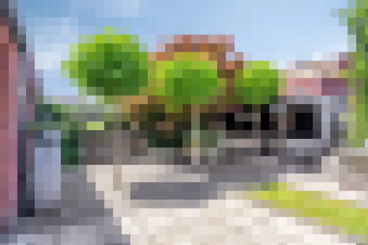 Zomerdijkstraat 17 Zwolle thumbnail 5