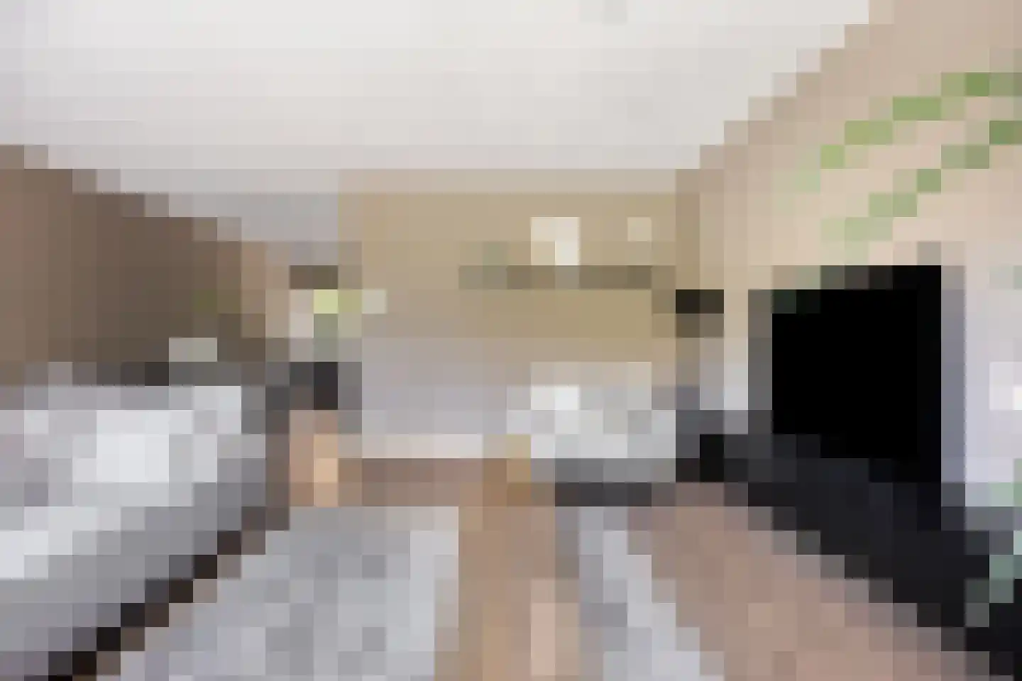 Zomerdijkstraat 17 Zwolle thumbnail 7