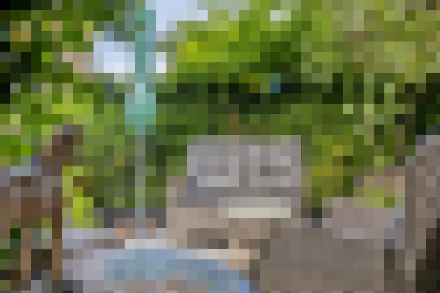 Zomerdoorn 2 Rotterdam thumbnail 17