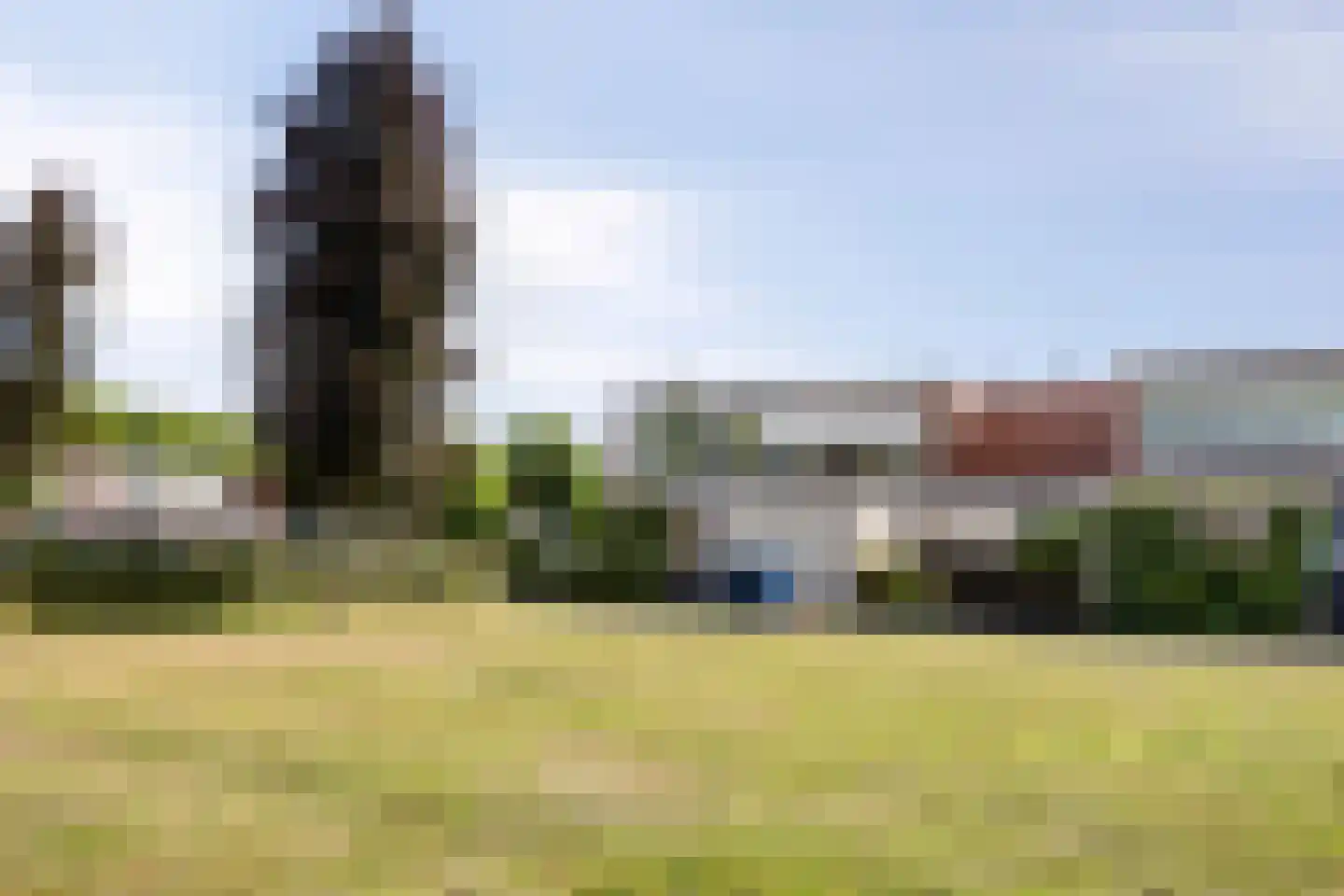 Zomerdoorn 2 Rotterdam thumbnail 32