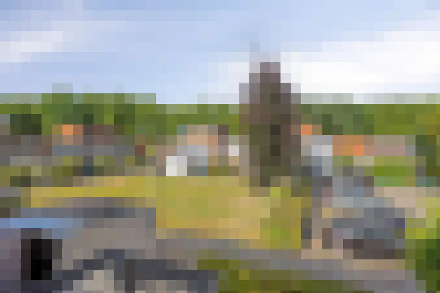 Zomerdoorn 2 Rotterdam thumbnail 33