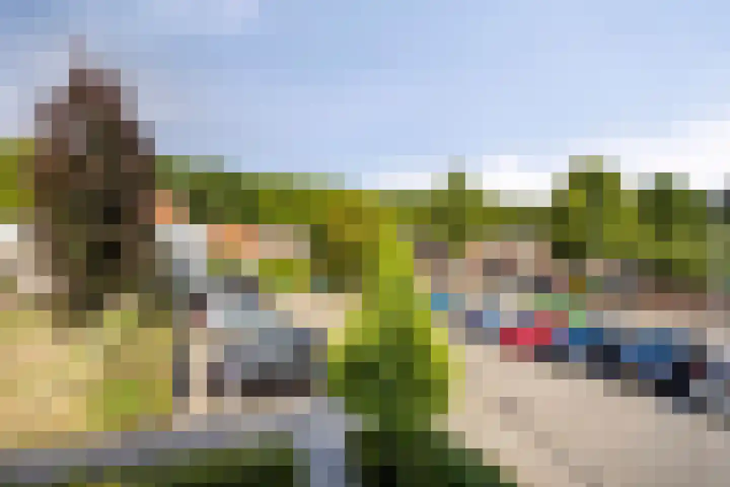 Zomerdoorn 2 Rotterdam thumbnail 34