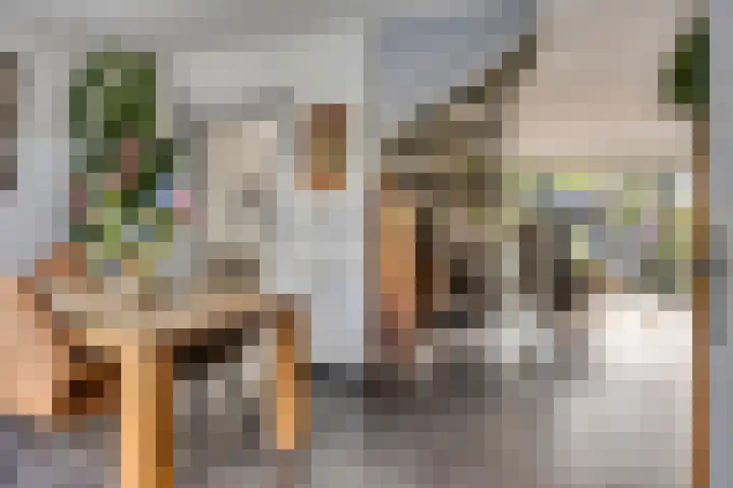 Zomerdoorn 2 Rotterdam thumbnail 4