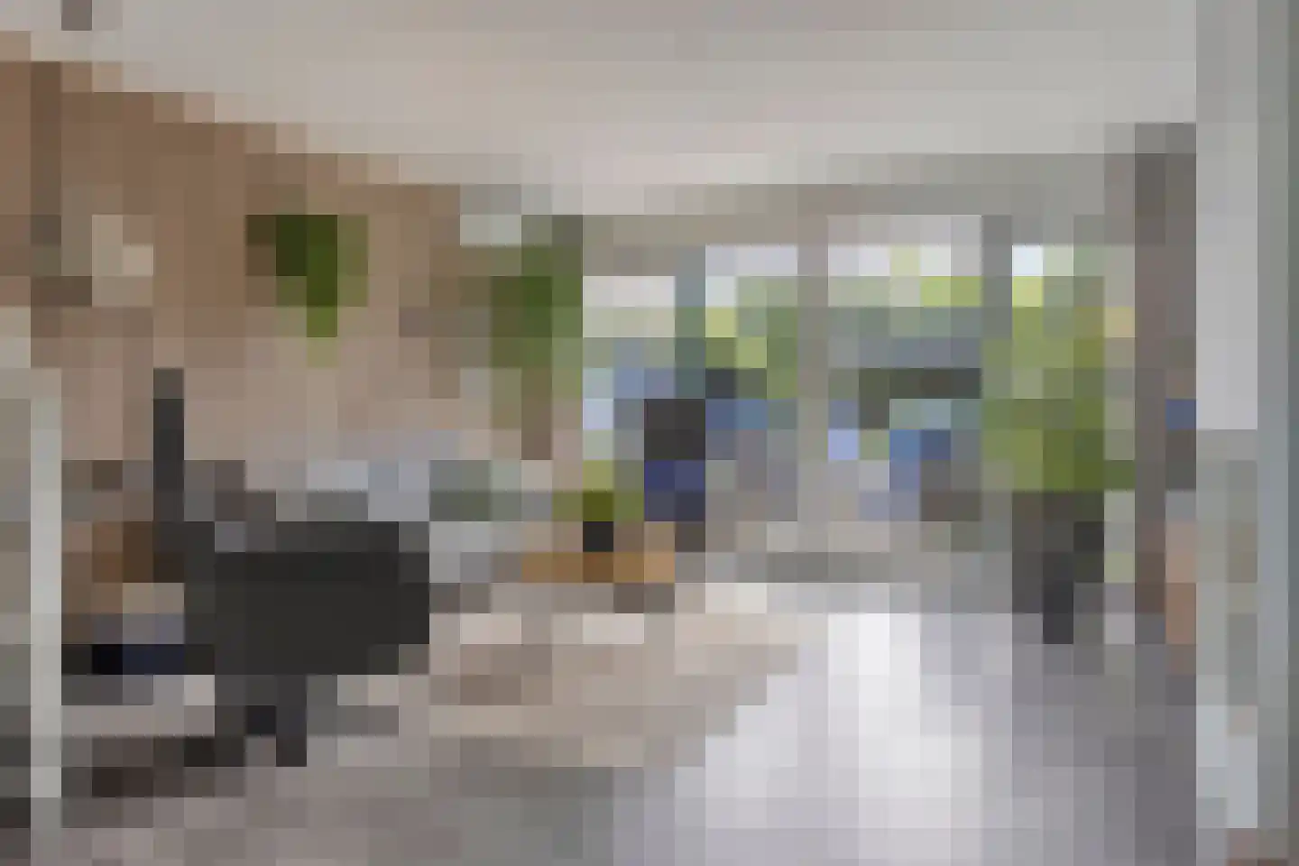 Zomerdoorn 2 Rotterdam thumbnail 6