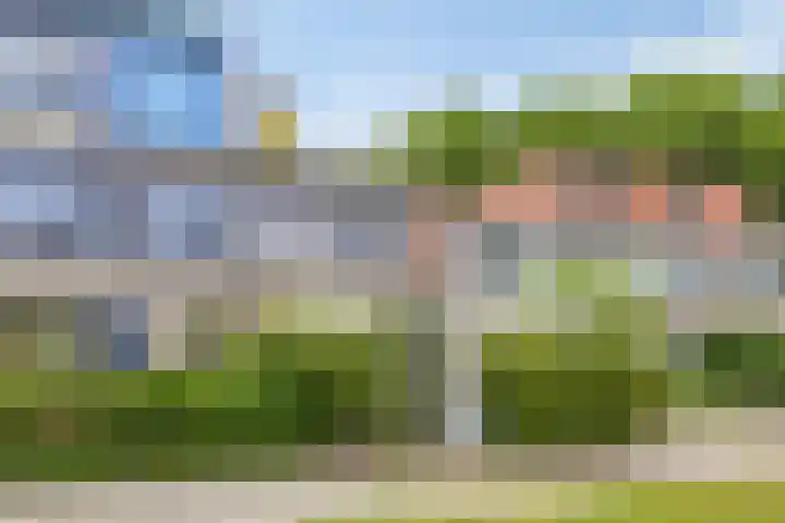 Zomerdoorn 24 Rotterdam thumbnail 33