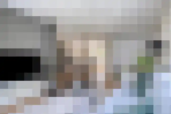 Zomereik 13 Best thumbnail 10