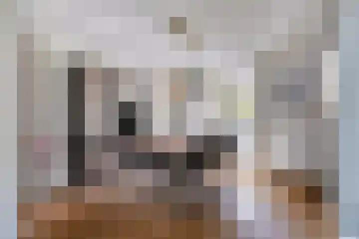 Zomereik 13 Best thumbnail 12