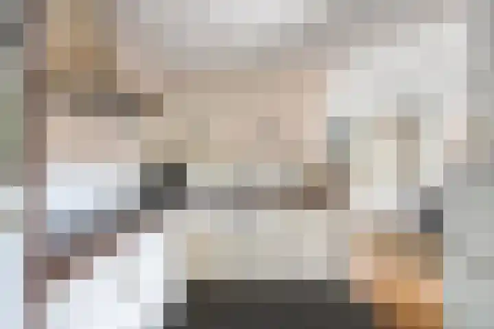 Zomereik 13 Best thumbnail 14