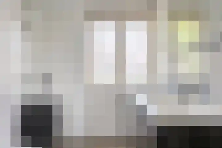 Zomereik 13 Best thumbnail 19