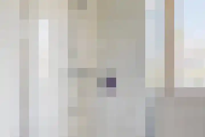 Zomereik 13 Best thumbnail 20
