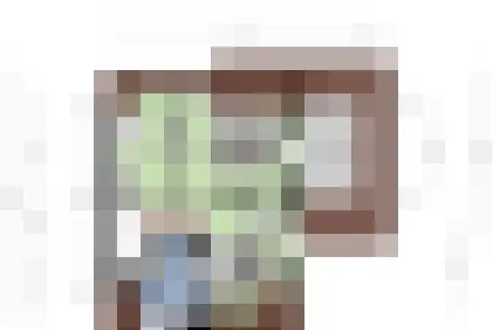 Zomereik 13 Best thumbnail 35