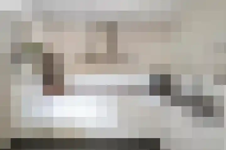 Zomereik 13 Best thumbnail 4