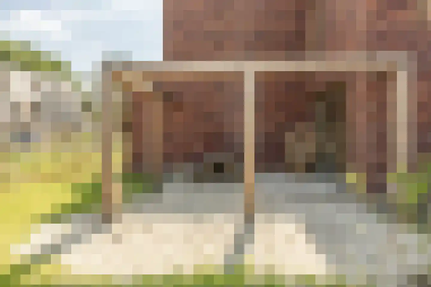 Zomereik 14 Cruquius thumbnail 30