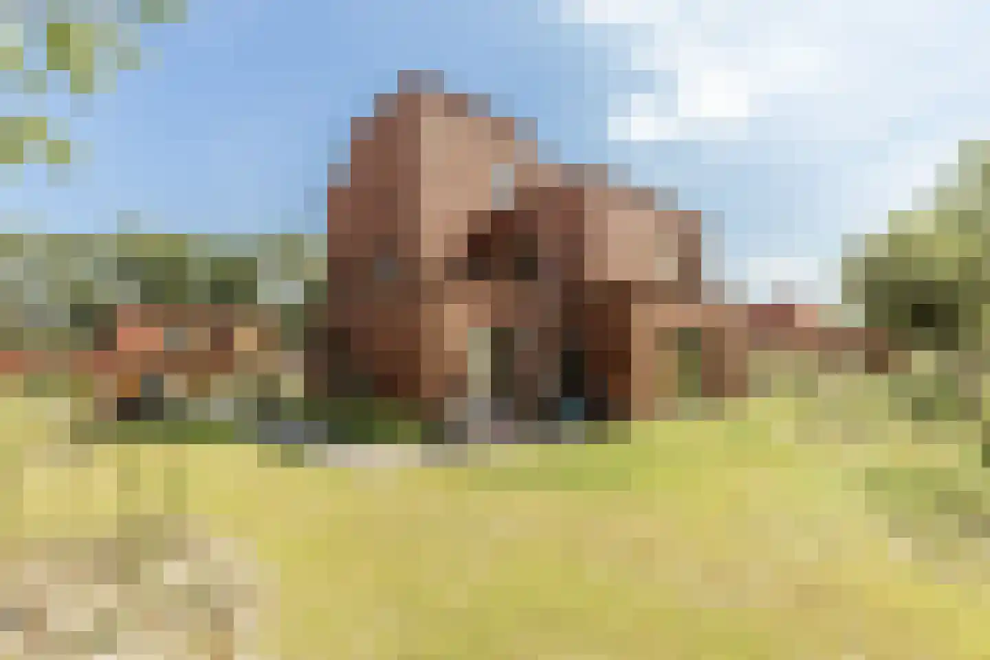 Zomereik 14 Cruquius thumbnail 32