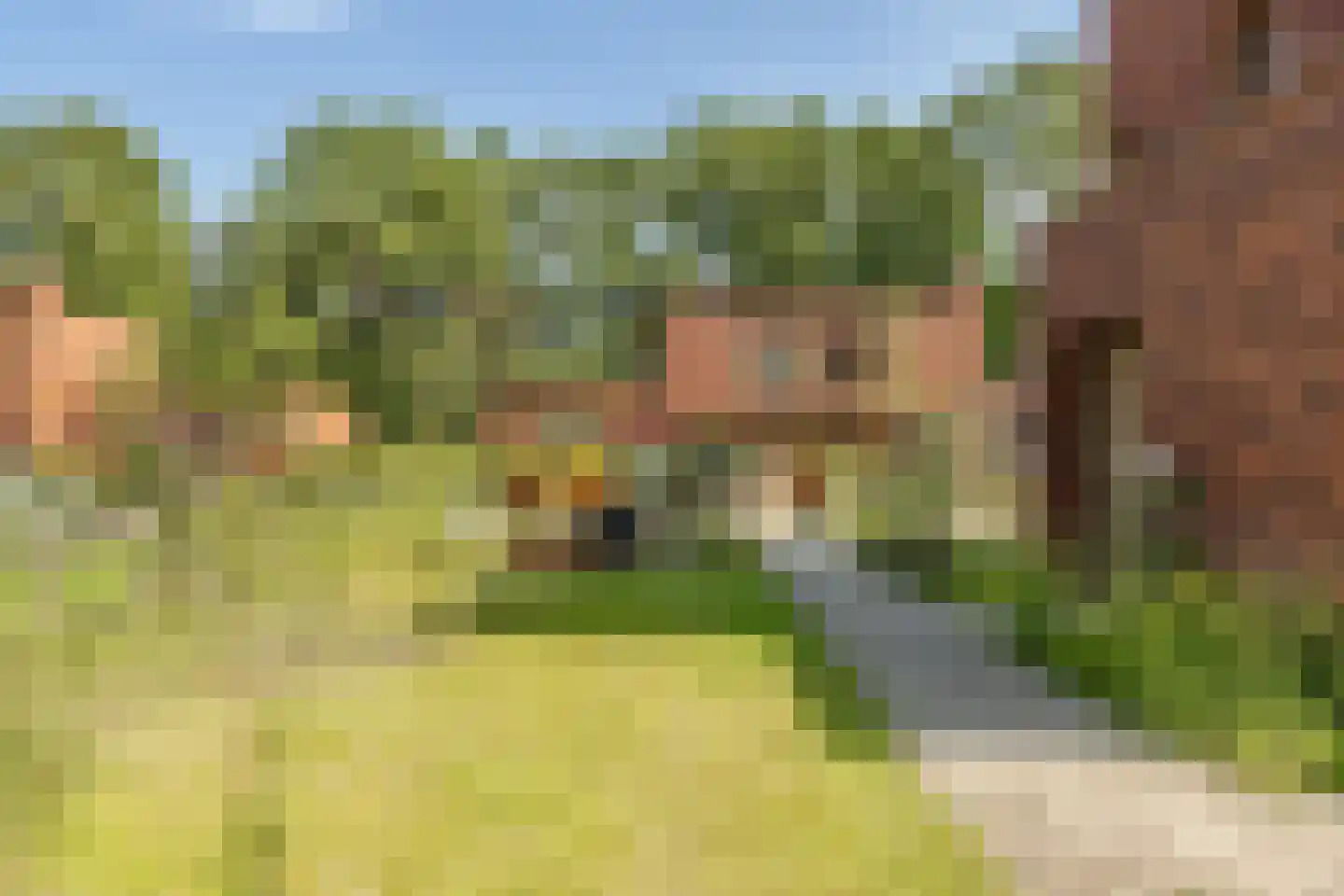 Zomereik 14 Cruquius thumbnail 33