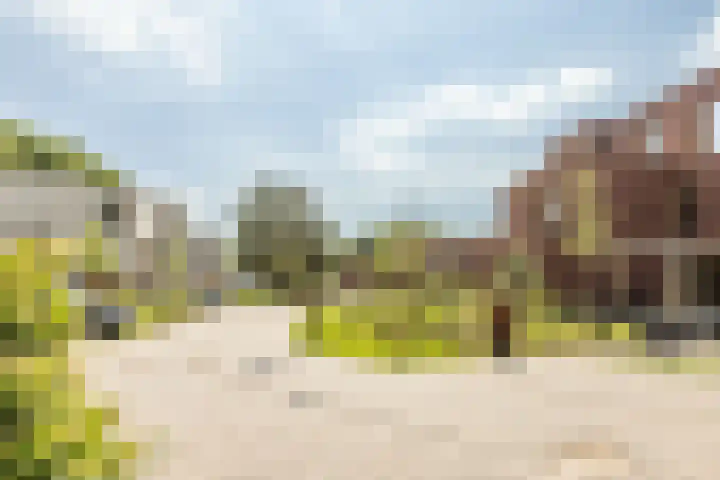 Zomereik 14 Cruquius thumbnail 34