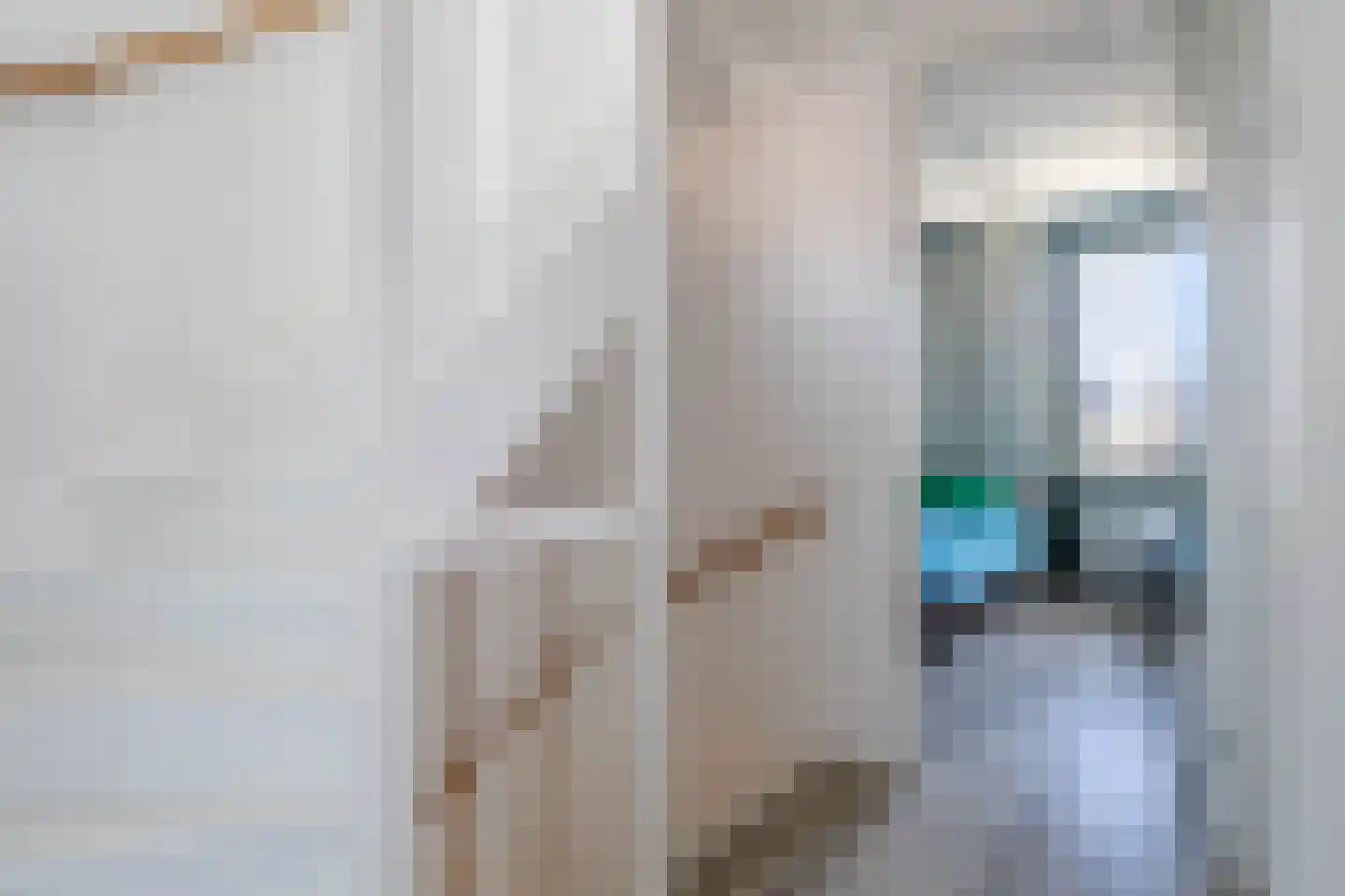 Zomereik 25 Heiloo thumbnail 10