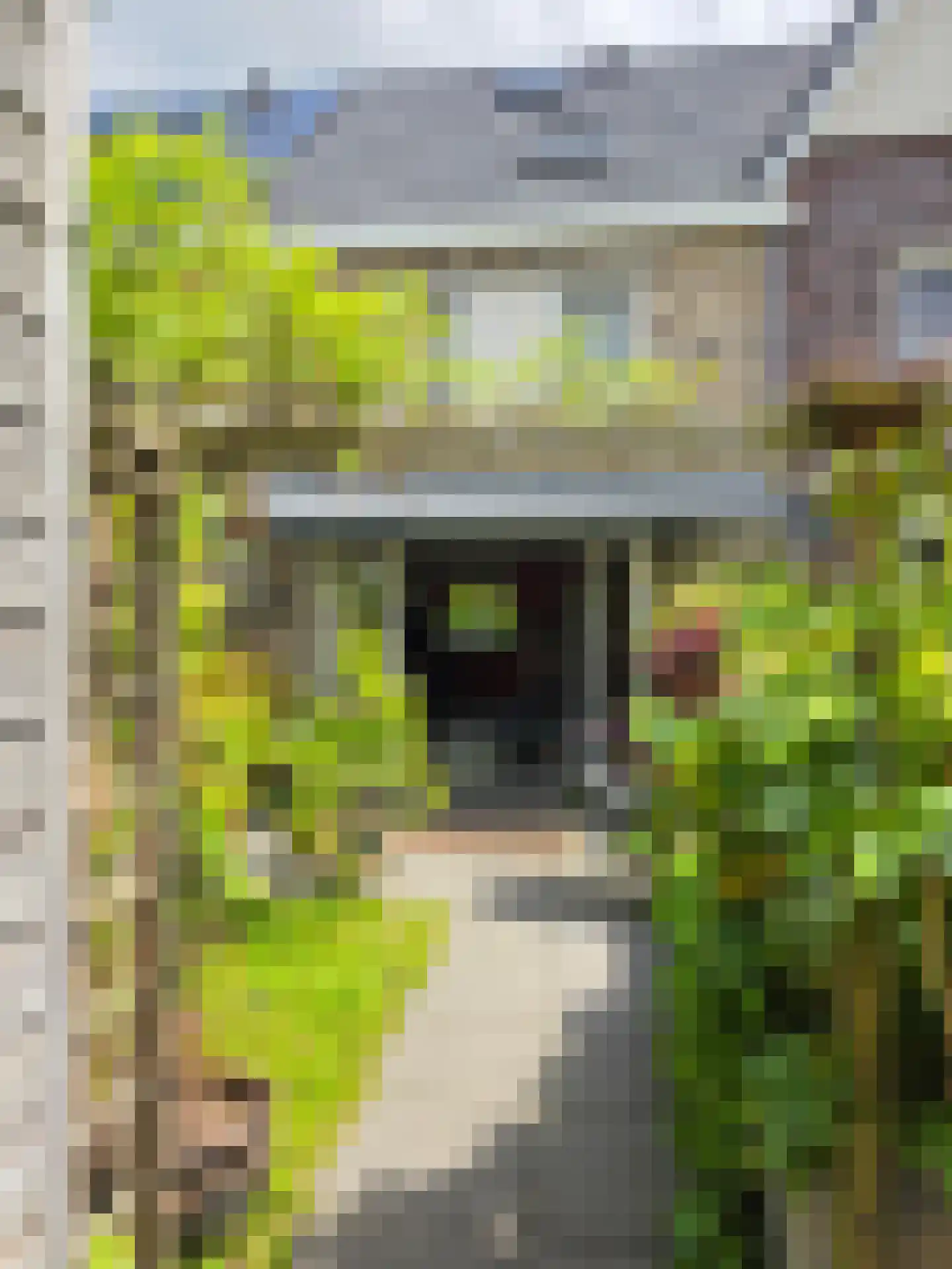Zomereik 25 Heiloo thumbnail 21