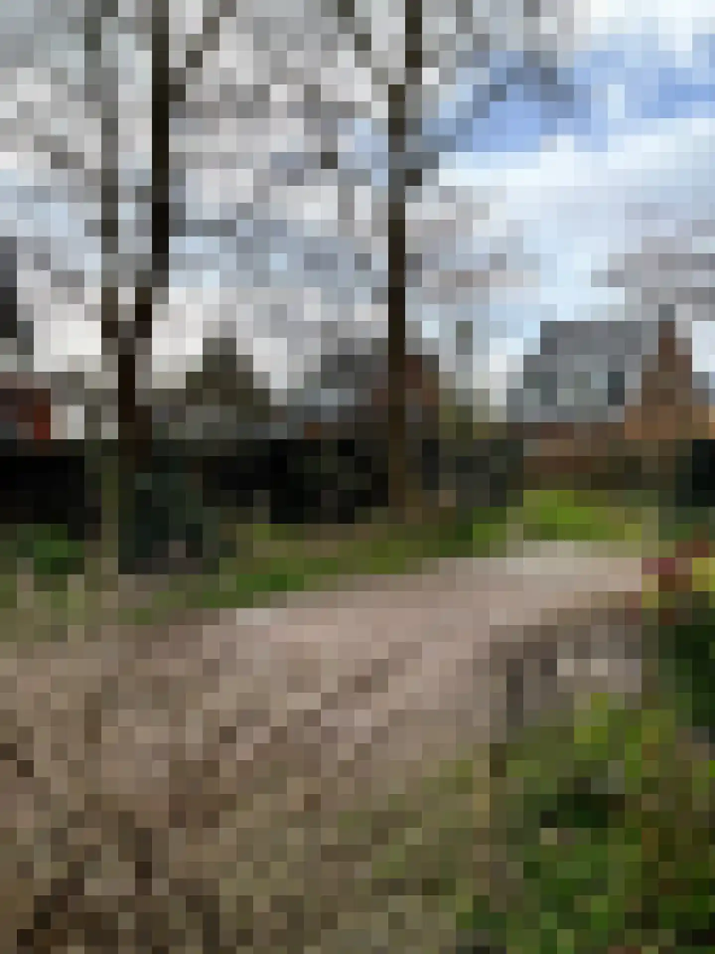 Zomereik 25 Heiloo thumbnail 23