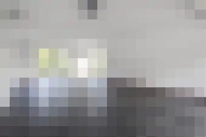 Zomereik 34 Den Haag thumbnail 10