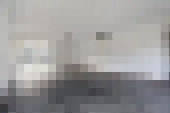 Zomereik 34 Den Haag thumbnail 11