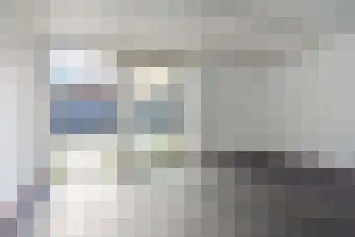 Zomereik 34 Den Haag thumbnail 12