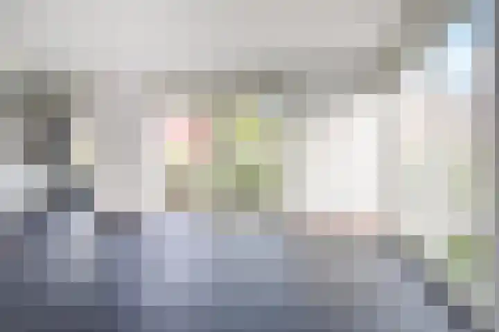 Zomereik 34 Den Haag thumbnail 13